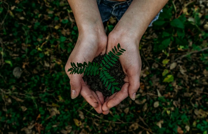 BrightRoots Foundation — Environmental Impact